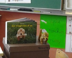 Les secrets de fabrication d’un livre