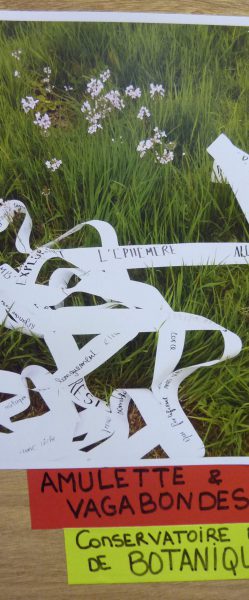 CLA CCFI Restitution (45)